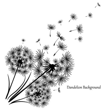 Vintage dandelion, great design for any purposes. Dandelion vector. Spring blossom background. Beautiful icon with black dandelion on white background. Flower background. Flying dandelion.のイラスト素材