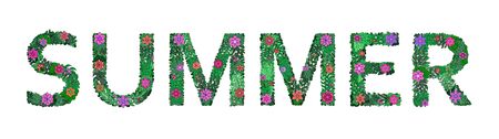 The inscription SUMMER of plant elements on a white background. Spring Alphabet. Set of letters. Signboard, invitation, congratulations, party organization. Vector illustration.のイラスト素材