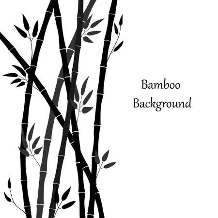 Bamboo forest illustration. Vector background with bamboo stems and leaves. Graphics, black silhouette of plants on white. Template for banner, cover, advertisement, internet story, print on mugのイラスト素材