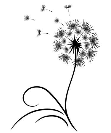 Delicate dandelion with flying seeds. Lonely flower with thin stem and leaves. Black outline drawing on white background. Vector illustration, print for a t-shirt, copy space. Dandelion silhouetteのイラスト素材