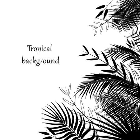 Tropical background with palm leaves. Corner, border of silhouettes of exotic tropical branches and foliage. Jungle, hawaii pattern in black. Poster template with place for text. Vector illustrationのイラスト素材