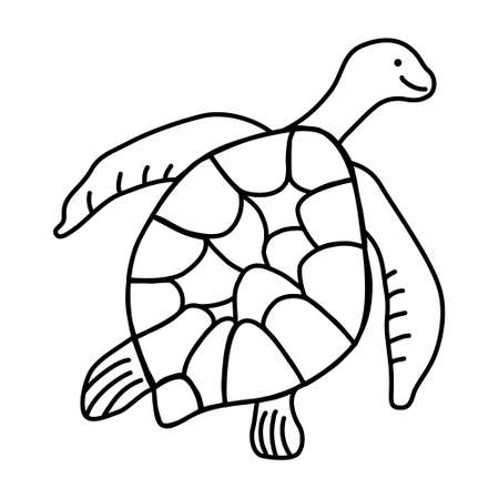 Cute turtle, linear drawing, coloring book for children. Hand drawn doodle art. Turtle, abstract sea character with flippers and shell. Ocean animal, vector illustration. Sketch with black linesのイラスト素材