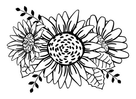 Bouquet of three sunflower flowers, branches, leaves. Flower arrangement, chamomile, gerbera. Doodle linear drawing. Vector illustration isolated on white background. Black sketch, outlineのイラスト素材