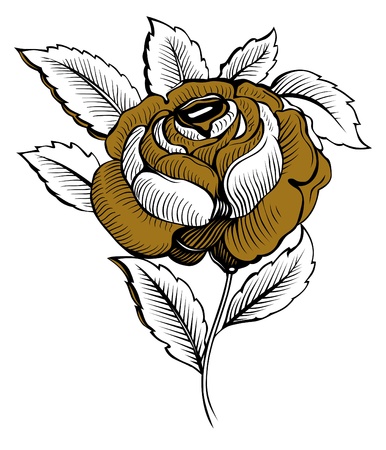 rose flower のイラスト素材
