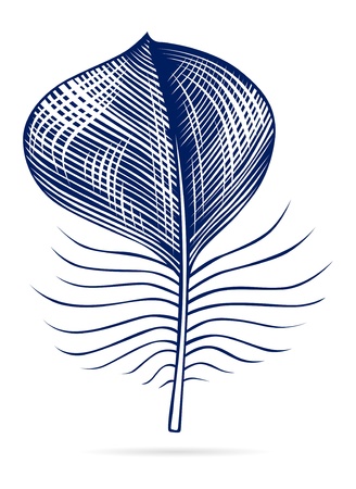 bird featherのイラスト素材
