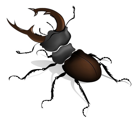 insect bugのイラスト素材