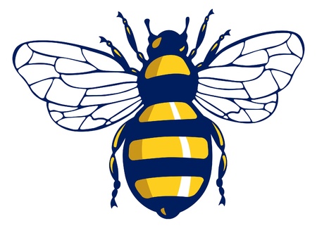 insect beeのイラスト素材