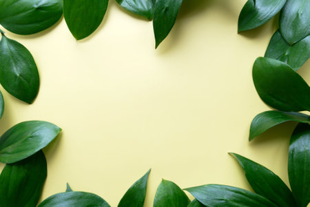 natural fresh leaf frame on yellow backgroundの写真素材