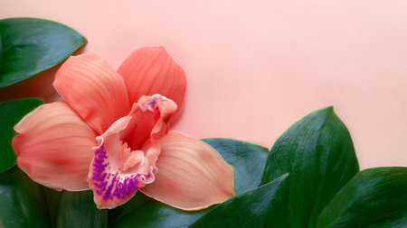 natural leaf with orchid on pink background. Greeting cardの写真素材