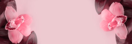 natural leaf with orchid on pink background. Greeting cardの写真素材