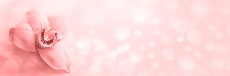 natural leaf with orchid on pink background. Greeting cardの写真素材