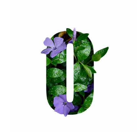 Creative number 0 zero made of fresh flowers with raindrops. Beautiful flora number for your unique decoration in spring, summer or several concept ideasの写真素材