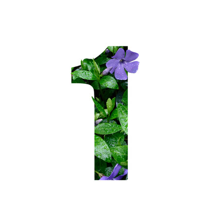 Creative number 1 one made of fresh flowers with raindrops. Beautiful flora number for your unique decoration in spring, summer or several concept ideasの写真素材