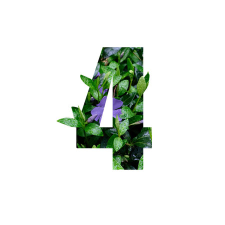 Creative number 4 four shape cutout with fresh flowers and raindrops. Beautiful flora number for...
