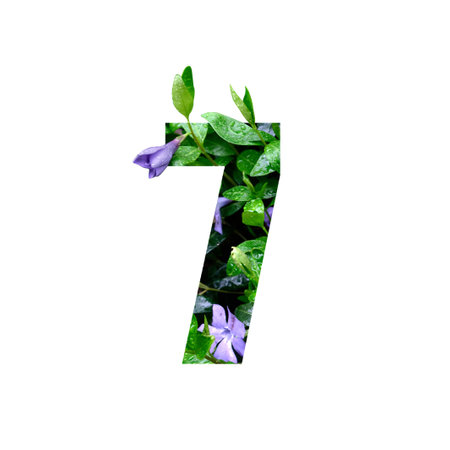 Creative number 7 seven shape cutout with fresh flowers and raindrops. Beautiful flora number for your unique decoration in spring, summer or several concept ideasの写真素材