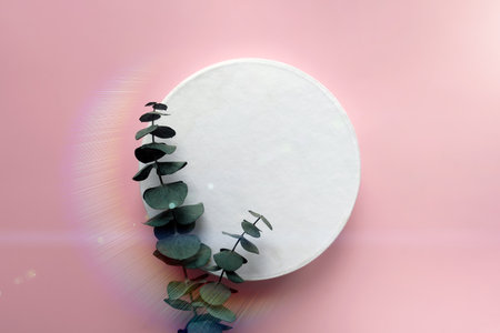 Top view of white round podium with green eucalyptus branch on pink background. Trendy rainbow sunlight.の写真素材