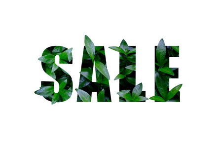 text sale made from green leaves textureの写真素材