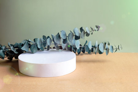 white round podium with green eucalyptus branch on light background. Trendy sunlight.の写真素材