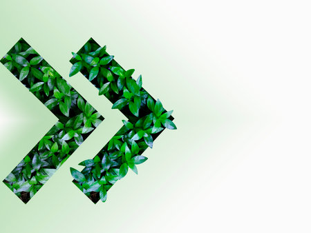 Green leaves texture in the form of an arrow. Mockup for natural and organic products. Natural...