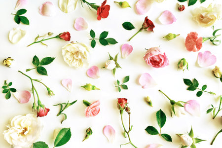 Floral pattern made of pink, red and white roses, green leaves, branches on white background. Flat lay, top view. Flowers pattern textureの写真素材