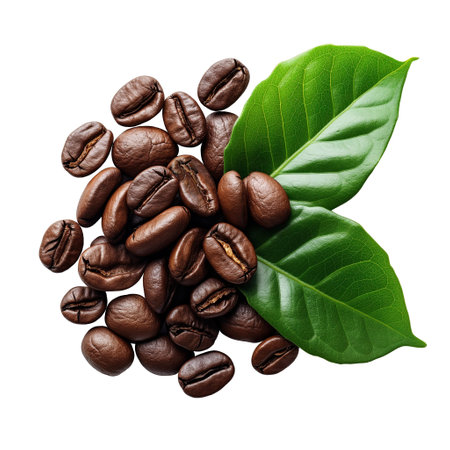 coffee grains and two green leavesの素材