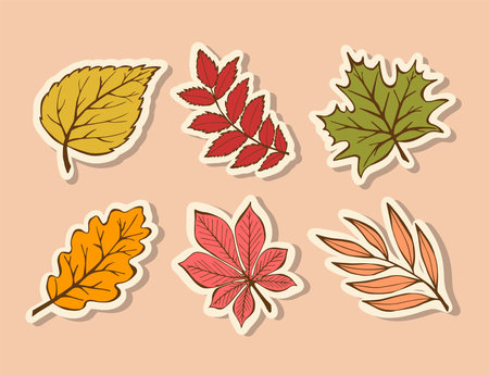 Modern Stickers autumn leaves in hand-drawn style. Bright Trendy Seasonal falling leaves of maple, birch, oak, rowan, willow, chestnut. Doodle Autumn Elements for poster, banner.のイラスト素材