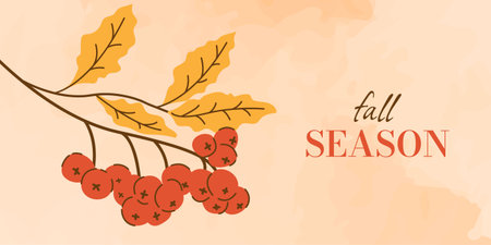 Fall Season Banner with Rowan Red Berries Branch on Watercolor Background. Cute Autumn Poster Template with Leaves, Red Berries, Branch in Minimalism Style on Textured Background.のイラスト素材