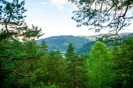 Mountain view from the forest in Carpathian Mountainsの写真素材