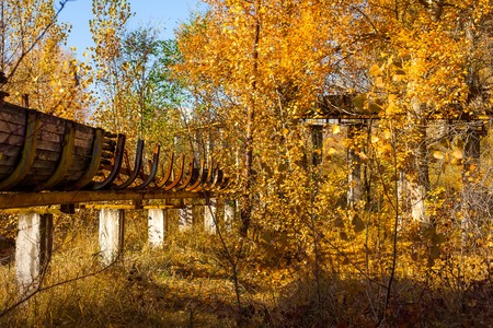 Abandoned broken bobsled slide in the autumn forestの写真素材