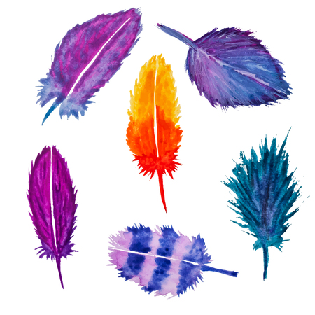 Hand drawn watercolor feather setの写真素材