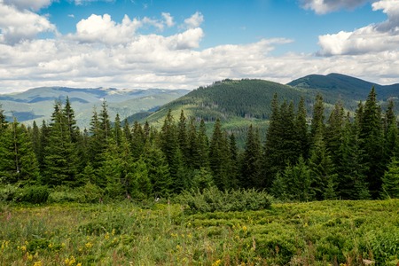 Summer low mountains, green grass, and blue sky landscapeの写真素材