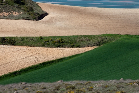 Texture field with arable landの写真素材