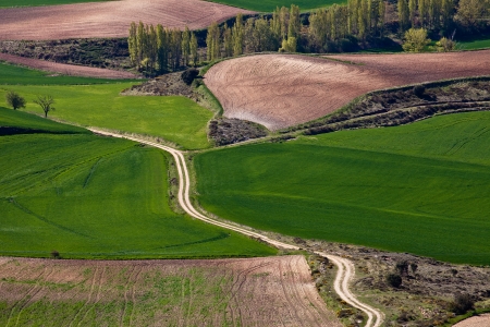 Texture field with arable land