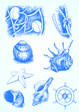 Vector sketching. hand-drawing Illustration of sea elementsのイラスト素材