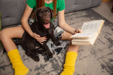 Happy little girl reading book with beloved dog. Lifestyle concept.の写真素材