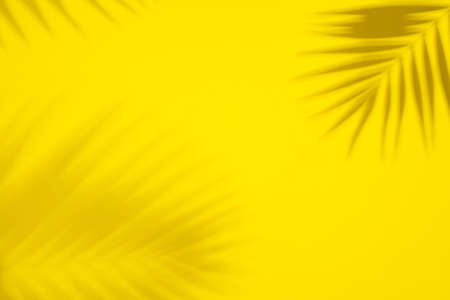 Abstract background of shadows palm leaves on yellow background