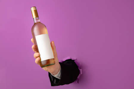 Mans hand holding bottle of wine and breaking through purple paper background.の写真素材