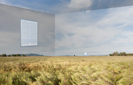 Art collage. Projection of wheat field on walls of your living room.の写真素材