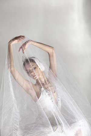 Young graceful balerina in image of white swan in art performance isolated on gray white background.の写真素材