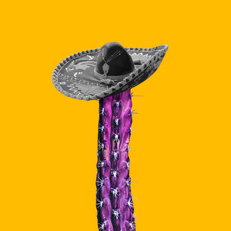Creative composition. Long purple cactus wearing mexican bw hat. Copyspace for advertisementの写真素材