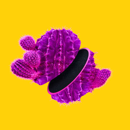 Creative imagination. Colored cactus cut in half isolated on bright yellow background. Concept of contemporary art, creativity.の写真素材