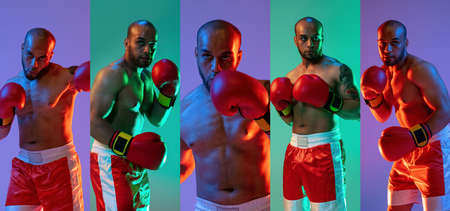 Sport collage. Young professional male boxer isolated over colored neon backgrounds. Flyer.