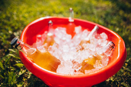 Bottles of beer in ice cub. Picnic gathering in countryside. Summer day offの写真素材