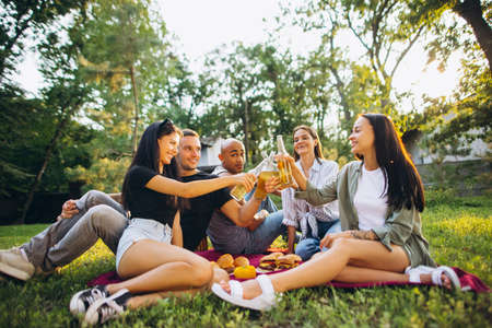 Picnic gathering. Portrait of joufull friends cclinking bottles of beer and having fun on...