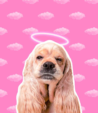 Contemporary art collage of fish swimming in earth ocean at night backgroundの写真素材