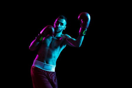 Portrait of one professional boxer training isolated over black background in neon light.の写真素材
