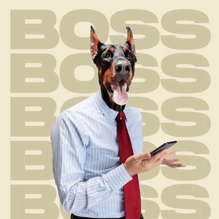 Contemporary art collage of businessman with dog, doberman head making notes on phone isolated over pastel backgroundの写真素材