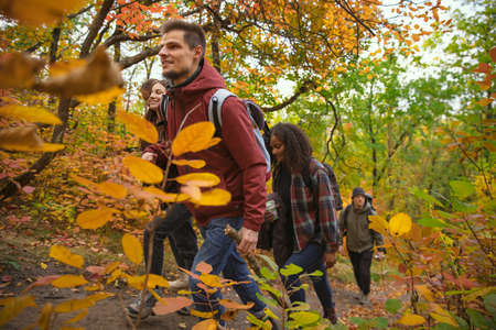 Group of joyful friends spending time together in the forest, doing hiking. Autumn picnic