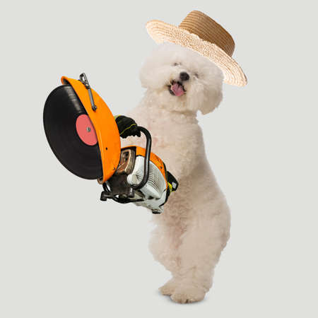 Contemporary art collage of cute fluffy dog in straw hat with vinyl saw isolated over white...