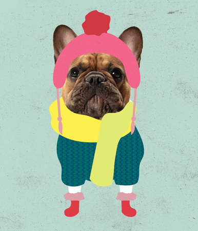 Contemporary art collage of cute french bulldog in hat and scarf isolated over blue background. Merry and joyの写真素材